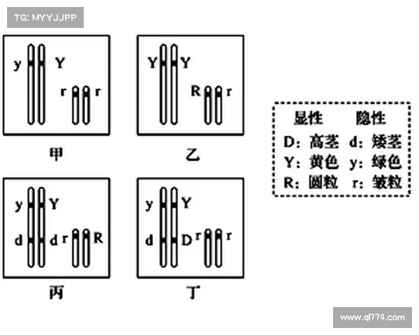冰虫鳞片特性解析及其在生物材料研究中的应用前景 冰虫鳞片特性解析及其在生物材料研究中的应用前景